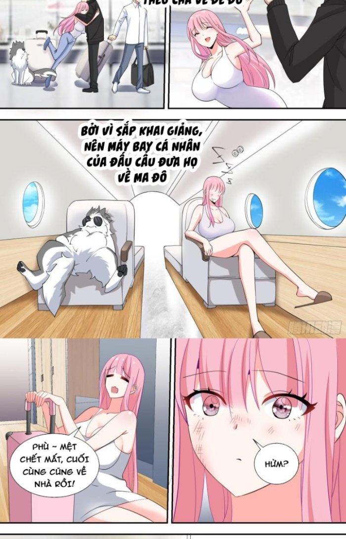 Trọng Sinh Thành Chó Của Nữ Thần Chapter 81 - Trang 4