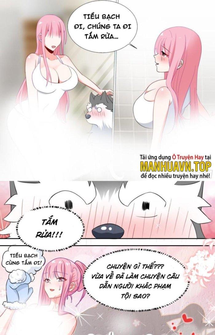 Trọng Sinh Thành Chó Của Nữ Thần Chapter 81 - Trang 4