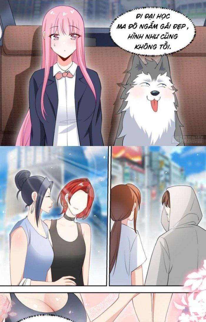 Trọng Sinh Thành Chó Của Nữ Thần Chapter 87 - Trang 4