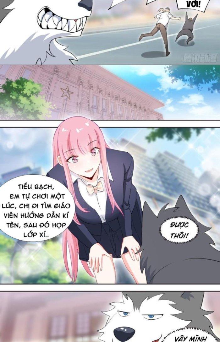 Trọng Sinh Thành Chó Của Nữ Thần Chapter 87 - Trang 4