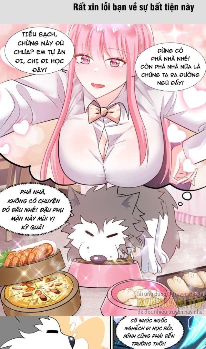 Trọng Sinh Thành Chó Của Nữ Thần Chapter 91 - Trang 4