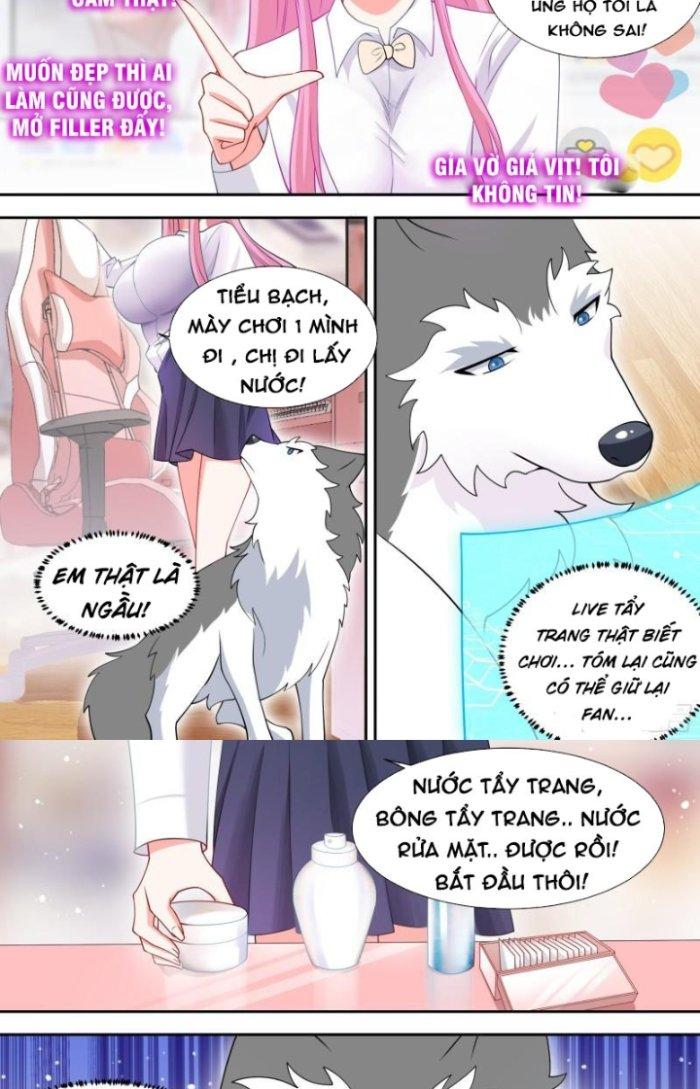 Trọng Sinh Thành Chó Của Nữ Thần Chapter 90 - Trang 4