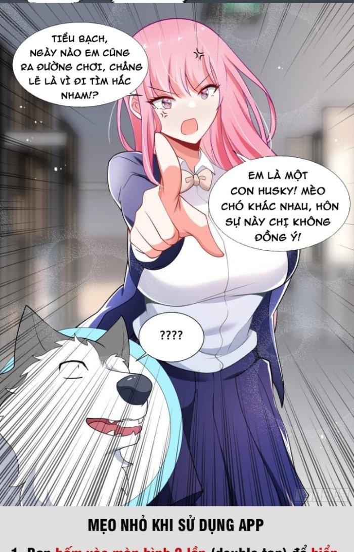 Trọng Sinh Thành Chó Của Nữ Thần Chapter 95 - Trang 4