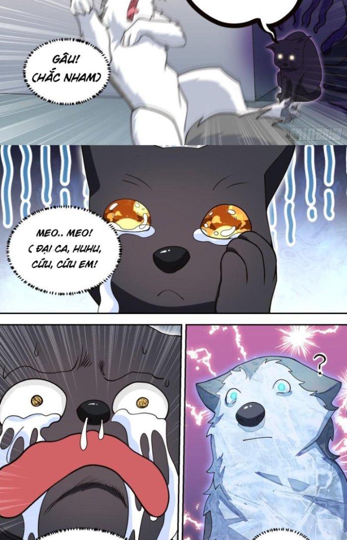Trọng Sinh Thành Chó Của Nữ Thần Chapter 95 - Trang 4