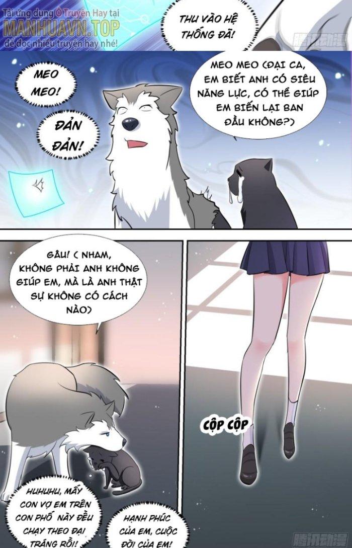 Trọng Sinh Thành Chó Của Nữ Thần Chapter 95 - Trang 4