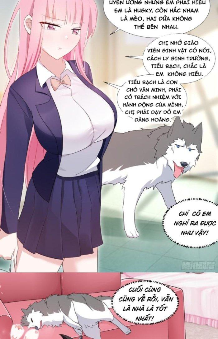 Trọng Sinh Thành Chó Của Nữ Thần Chapter 96 - Trang 4