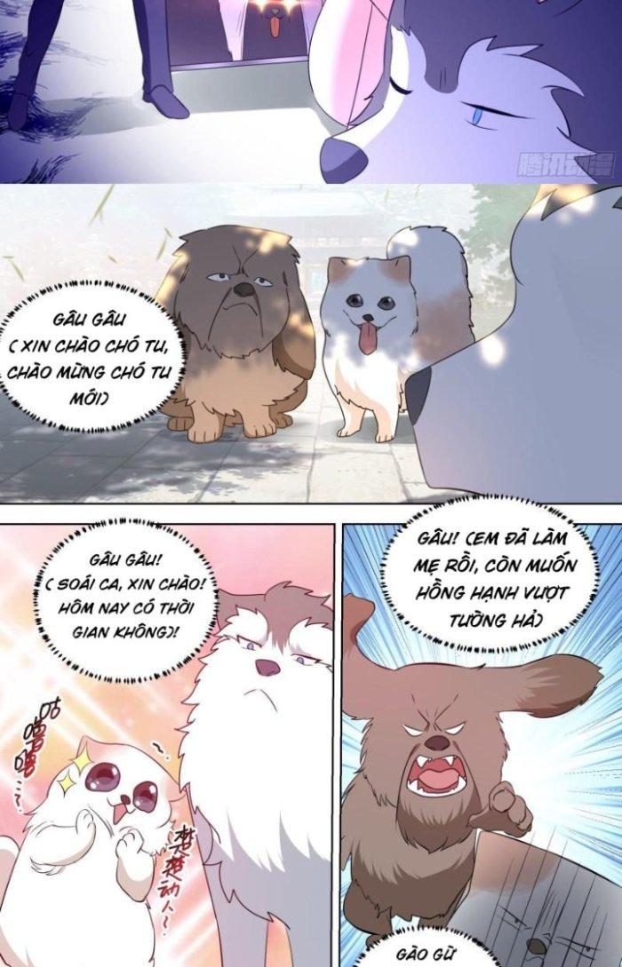 Trọng Sinh Thành Chó Của Nữ Thần Chapter 99 - Trang 4