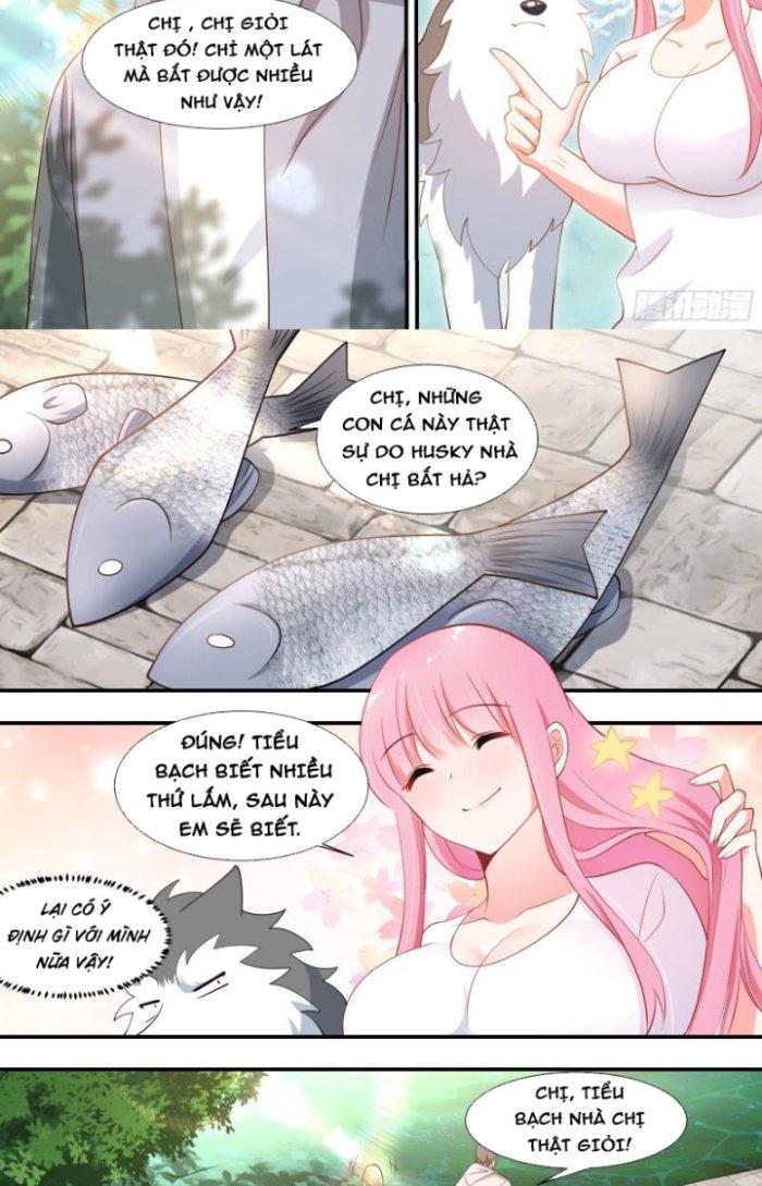 Trọng Sinh Thành Chó Của Nữ Thần Chapter 100 - Trang 4