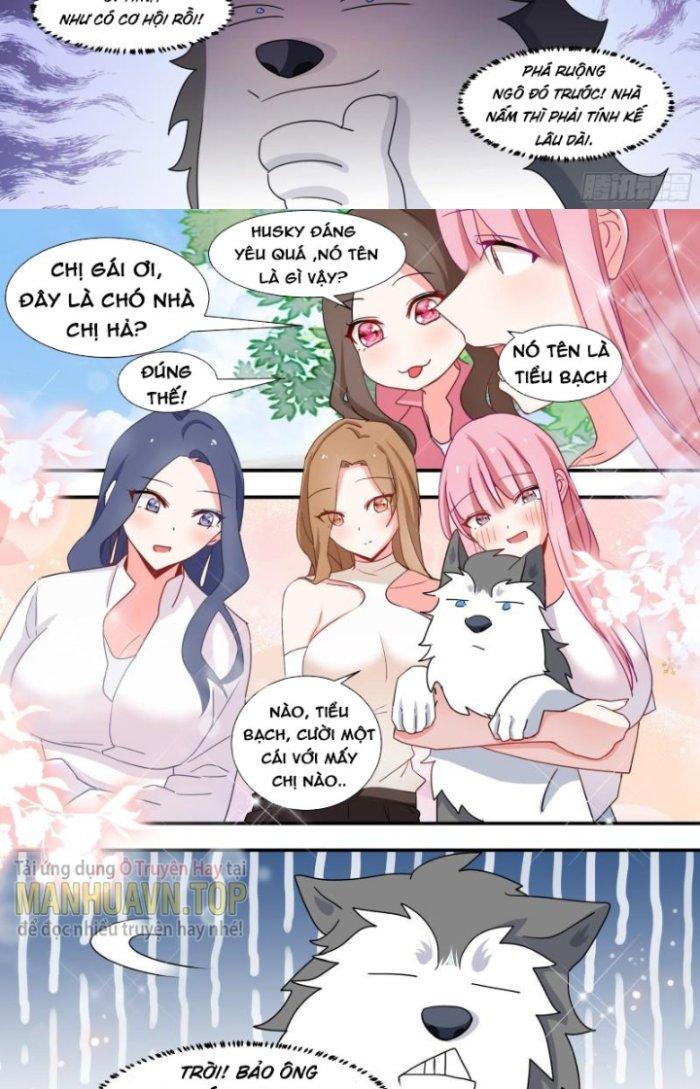 Trọng Sinh Thành Chó Của Nữ Thần Chapter 101 - Trang 4