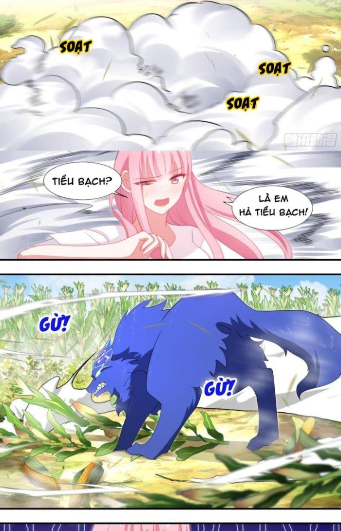Trọng Sinh Thành Chó Của Nữ Thần Chapter 102 - Trang 4