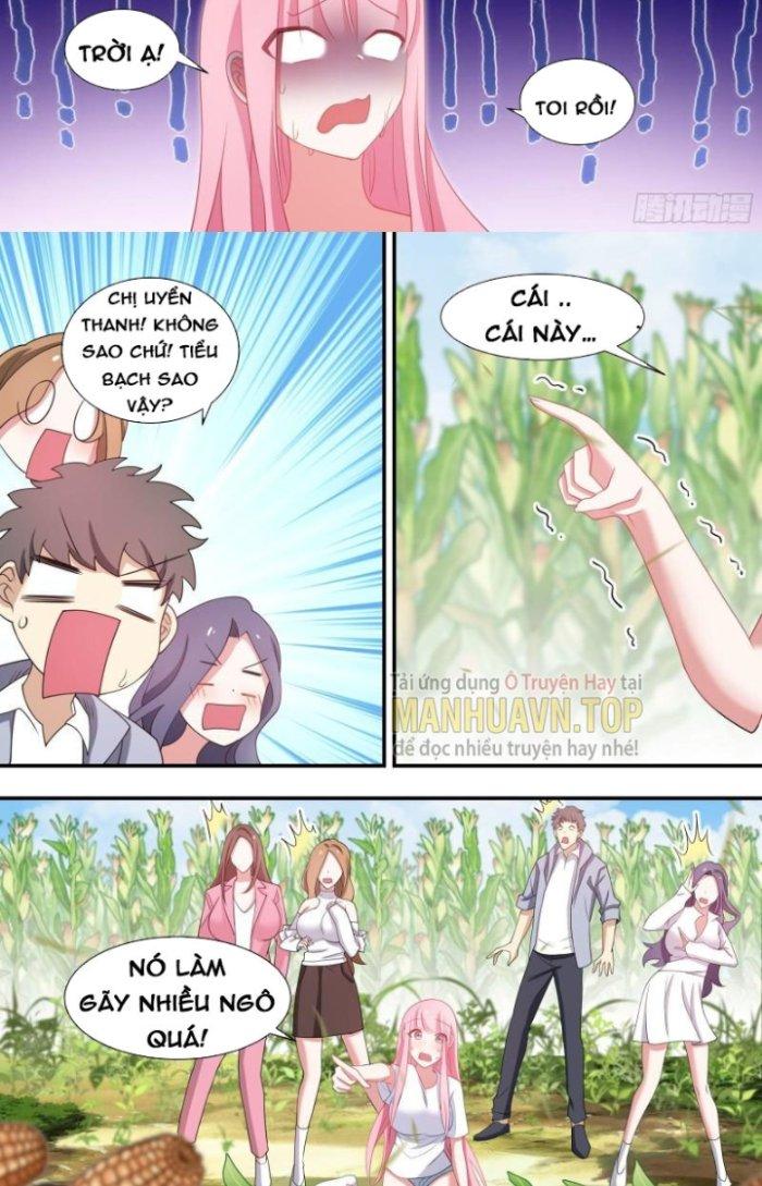 Trọng Sinh Thành Chó Của Nữ Thần Chapter 102 - Trang 4