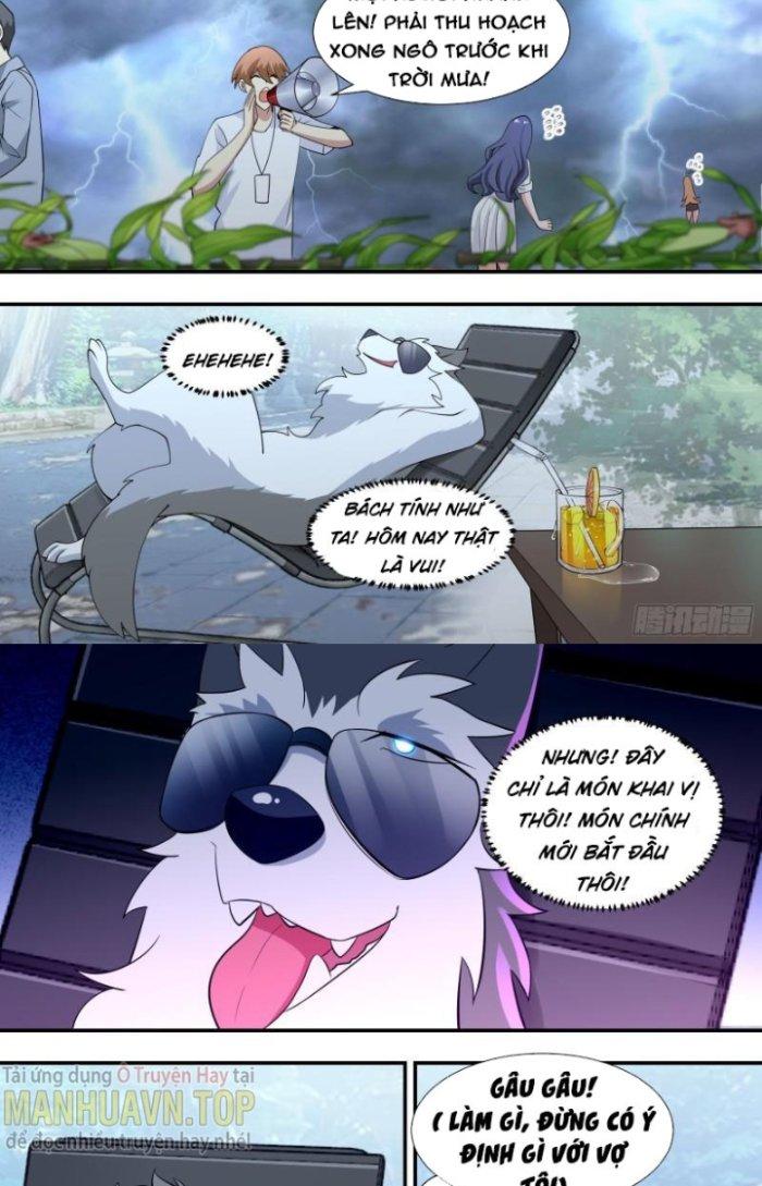 Trọng Sinh Thành Chó Của Nữ Thần Chapter 103 - Trang 4