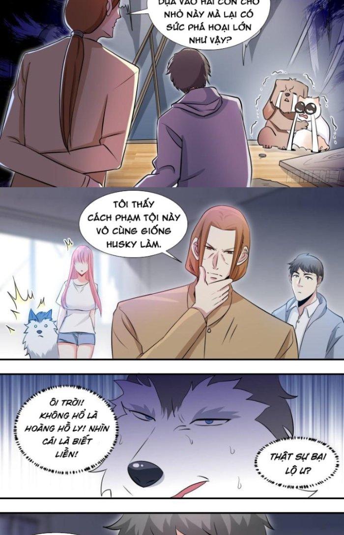 Trọng Sinh Thành Chó Của Nữ Thần Chapter 104 - Trang 4