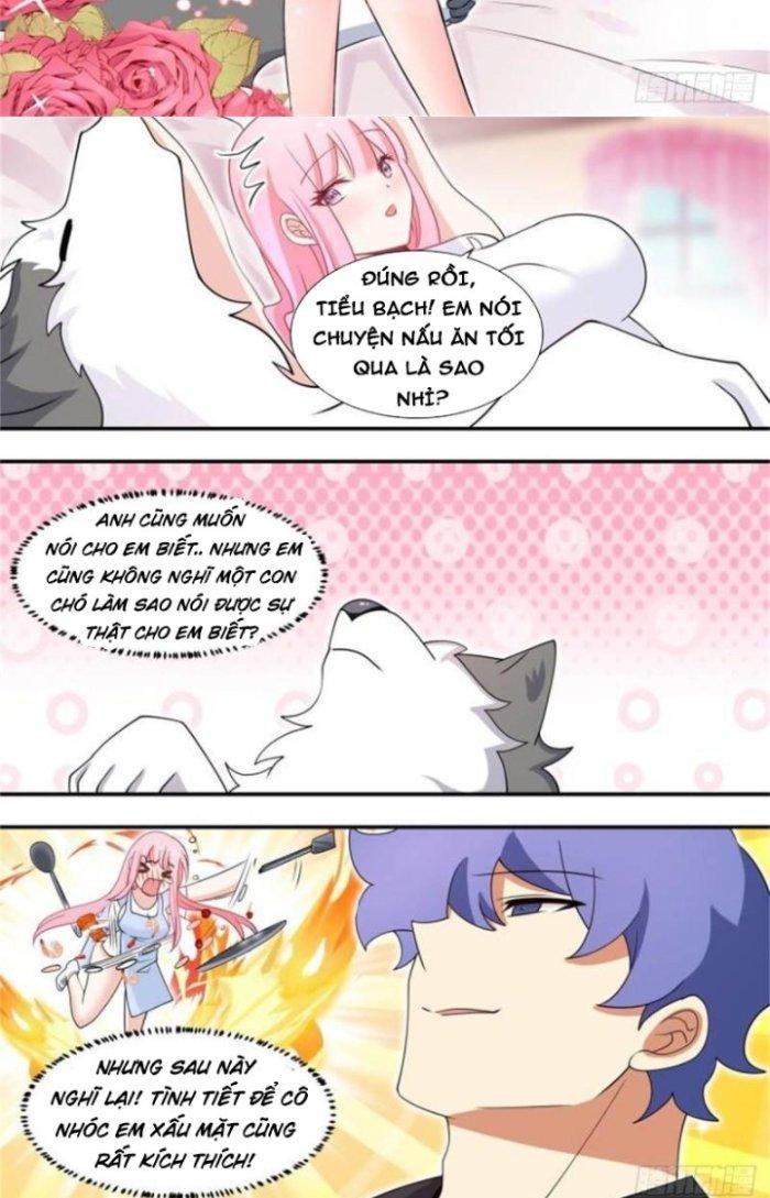 Trọng Sinh Thành Chó Của Nữ Thần Chapter 106 - Trang 4
