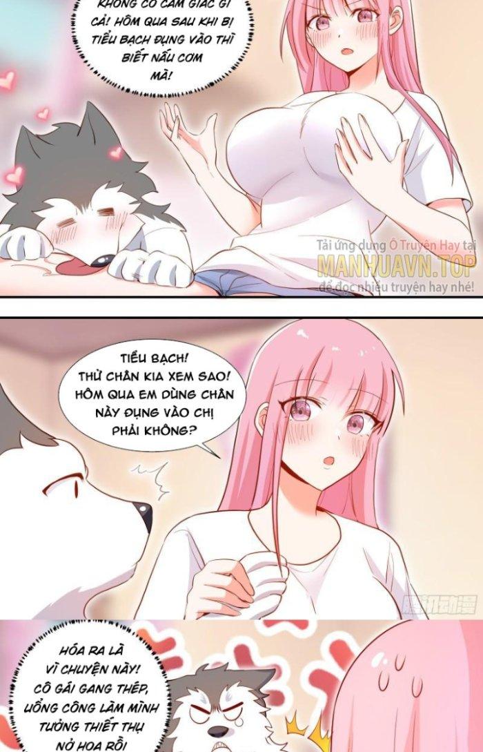 Trọng Sinh Thành Chó Của Nữ Thần Chapter 107 - Trang 4