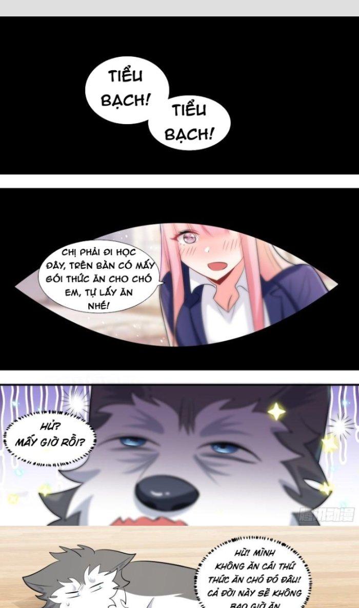 Trọng Sinh Thành Chó Của Nữ Thần Chapter 115 - Trang 4