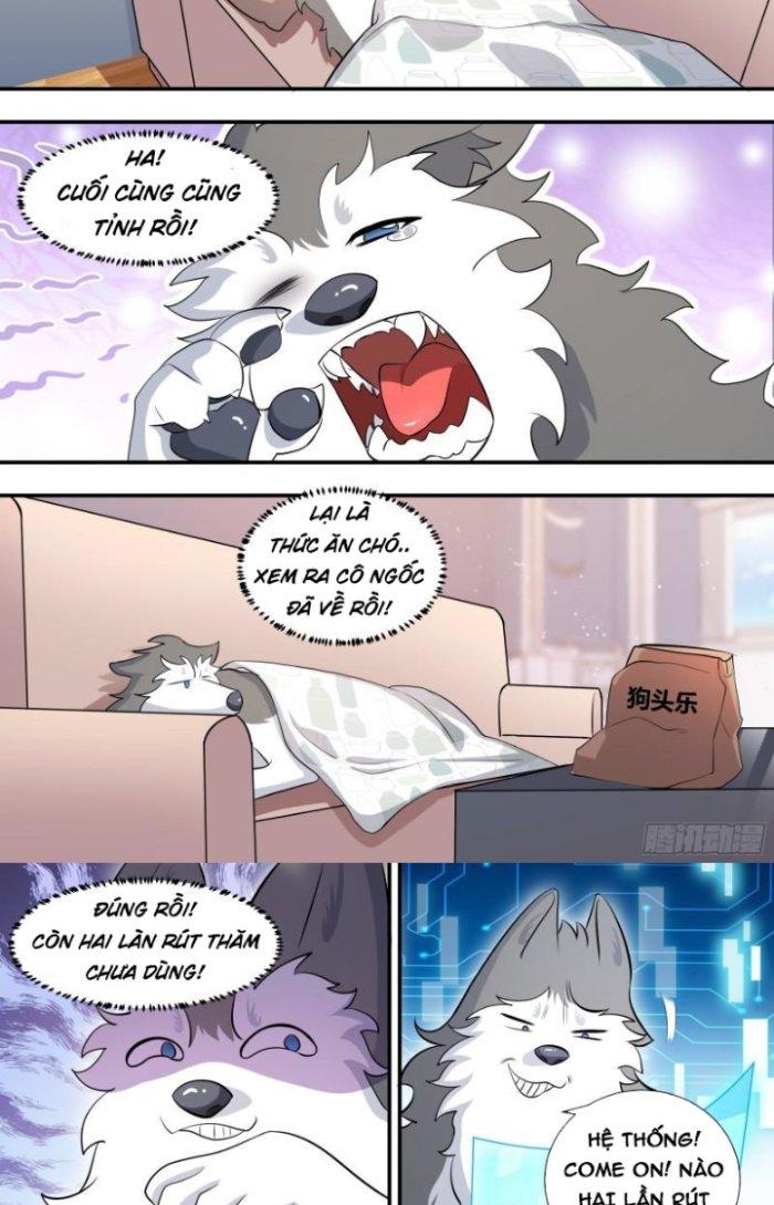 Trọng Sinh Thành Chó Của Nữ Thần Chapter 118 - Trang 4