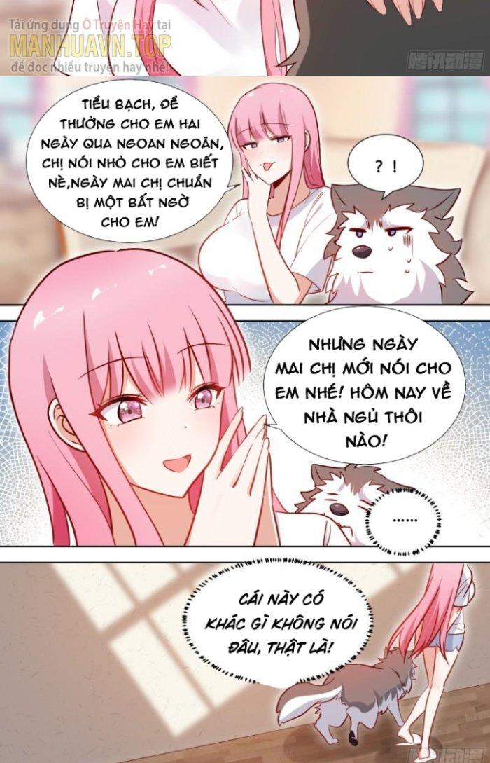 Trọng Sinh Thành Chó Của Nữ Thần Chapter 122 - Trang 4