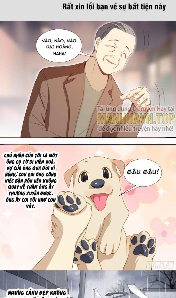 Trọng Sinh Thành Chó Của Nữ Thần Chapter 127 - Trang 4