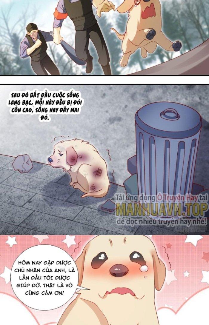 Trọng Sinh Thành Chó Của Nữ Thần Chapter 127 - Trang 4