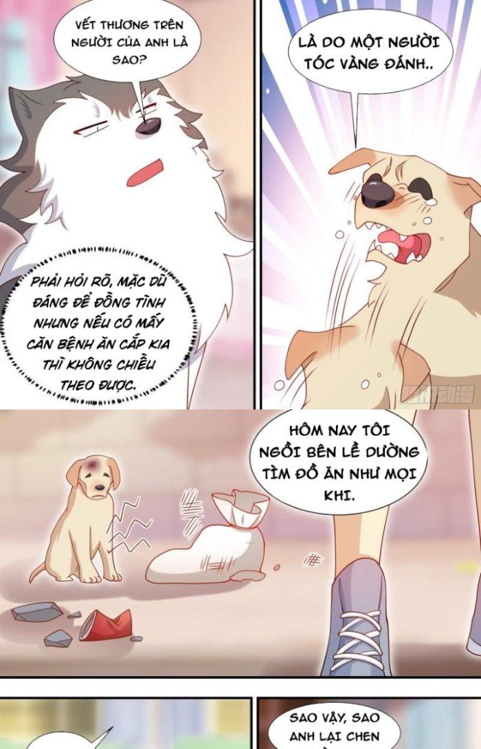 Trọng Sinh Thành Chó Của Nữ Thần Chapter 127 - Trang 4