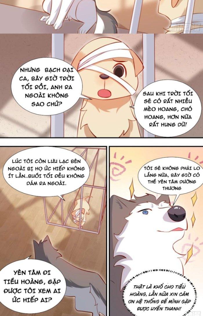 Trọng Sinh Thành Chó Của Nữ Thần Chapter 127 - Trang 4