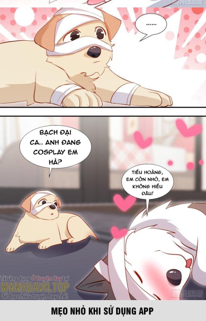 Trọng Sinh Thành Chó Của Nữ Thần Chapter 132 - Trang 4