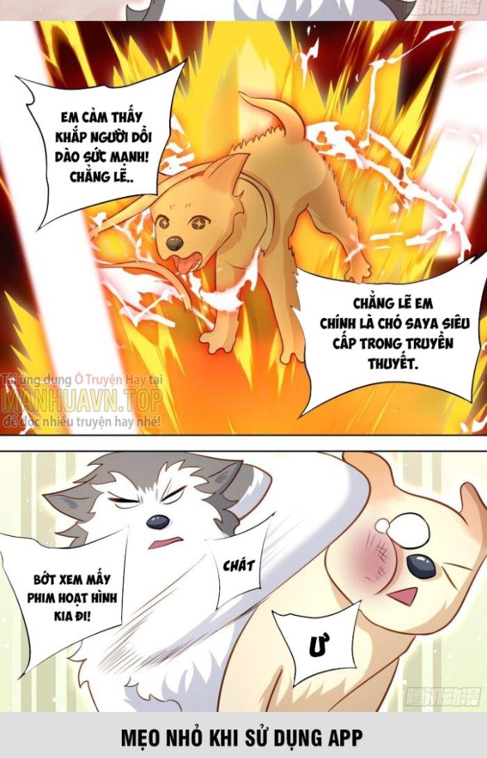 Trọng Sinh Thành Chó Của Nữ Thần Chapter 139 - Trang 3
