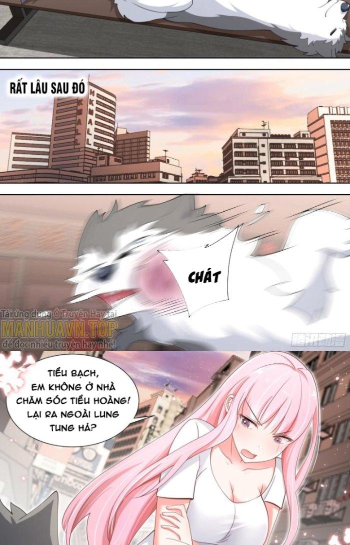 Trọng Sinh Thành Chó Của Nữ Thần Chapter 139 - Trang 3