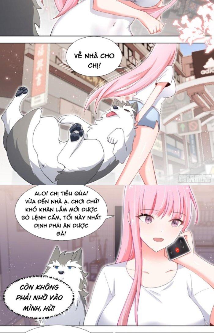 Trọng Sinh Thành Chó Của Nữ Thần Chapter 139 - Trang 3