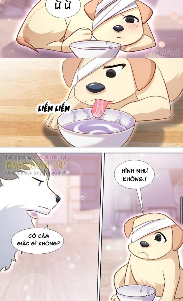 Trọng Sinh Thành Chó Của Nữ Thần Chapter 139 - Trang 3
