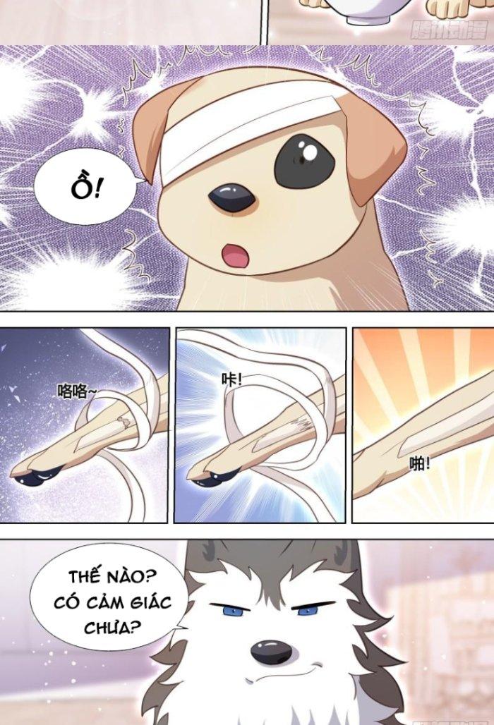 Trọng Sinh Thành Chó Của Nữ Thần Chapter 139 - Trang 3