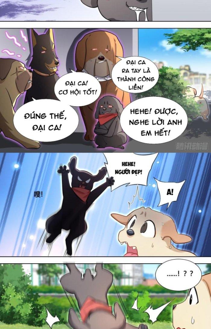 Trọng Sinh Thành Chó Của Nữ Thần Chapter 140 - Trang 3