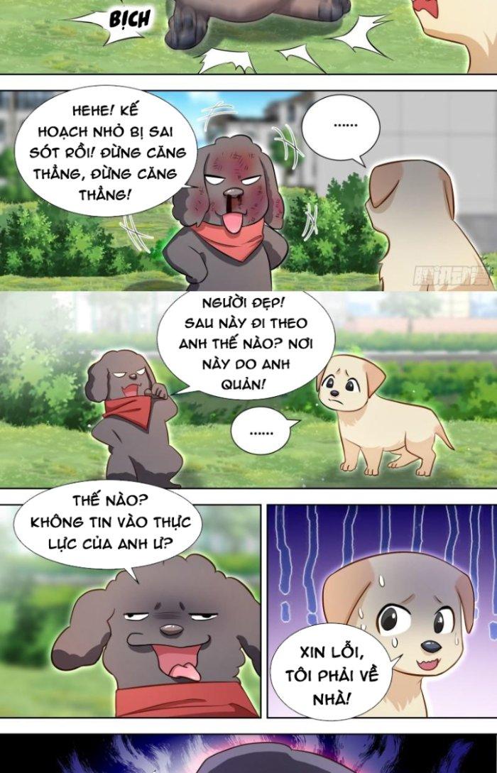 Trọng Sinh Thành Chó Của Nữ Thần Chapter 140 - Trang 3