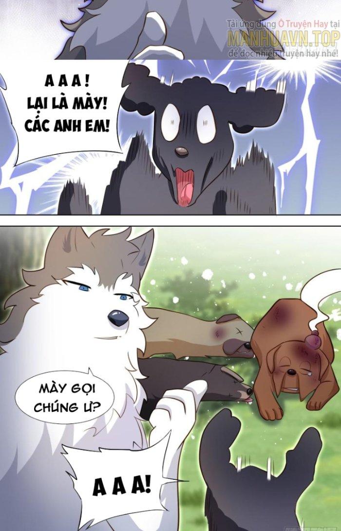 Trọng Sinh Thành Chó Của Nữ Thần Chapter 140 - Trang 3