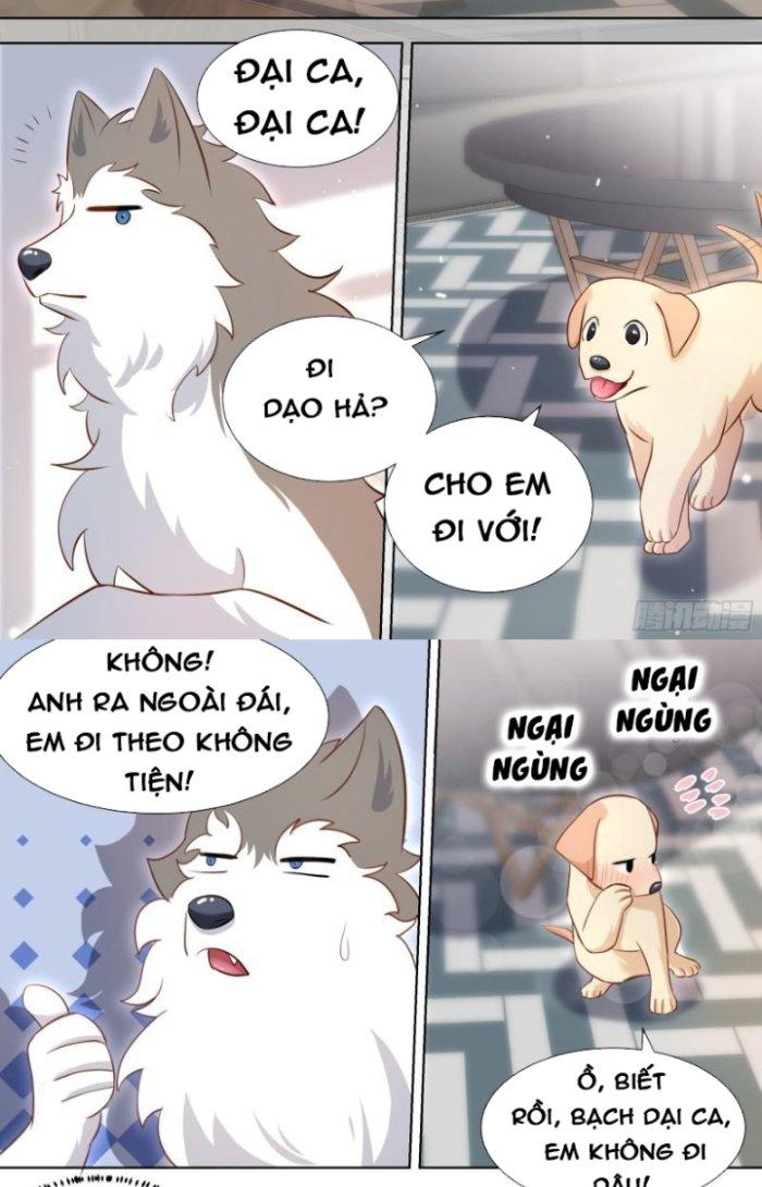 Trọng Sinh Thành Chó Của Nữ Thần Chapter 146 - Trang 3