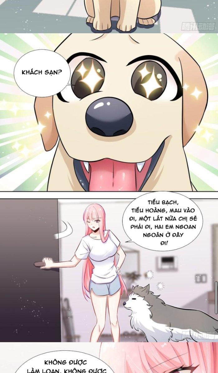 Trọng Sinh Thành Chó Của Nữ Thần Chapter 146 - Trang 3