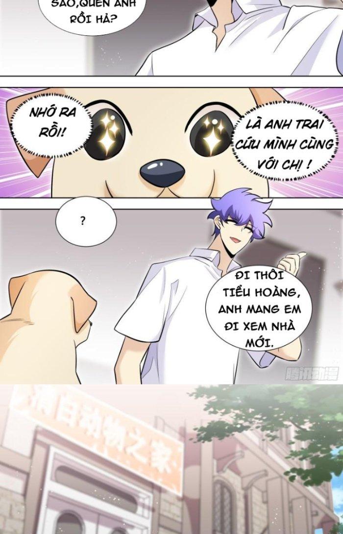 Trọng Sinh Thành Chó Của Nữ Thần Chapter 147 - Trang 3