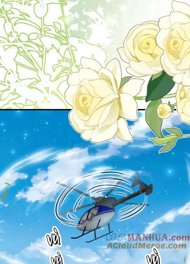 Tiểu Manh Bảo Bốn Tuổi Theo Sư Phụ Xuống Núi Chapter 325 - Trang 3