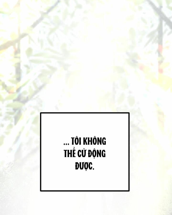 7 Năm Sau Tỉnh Dậy Ở Tương Lai Chapter 21 - Trang 2