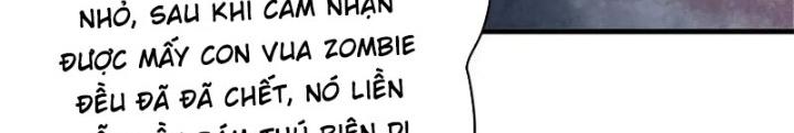 Luân Bàn Thế Giới Chapter 202 - Trang 3