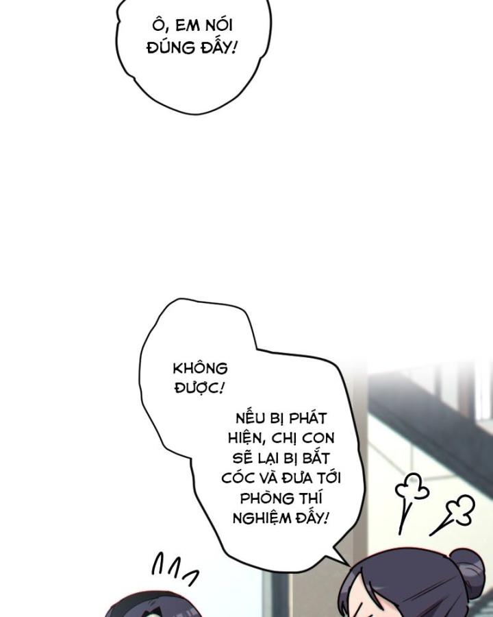 7 Năm Sau Tỉnh Dậy Ở Tương Lai Chapter 39 - Trang 2