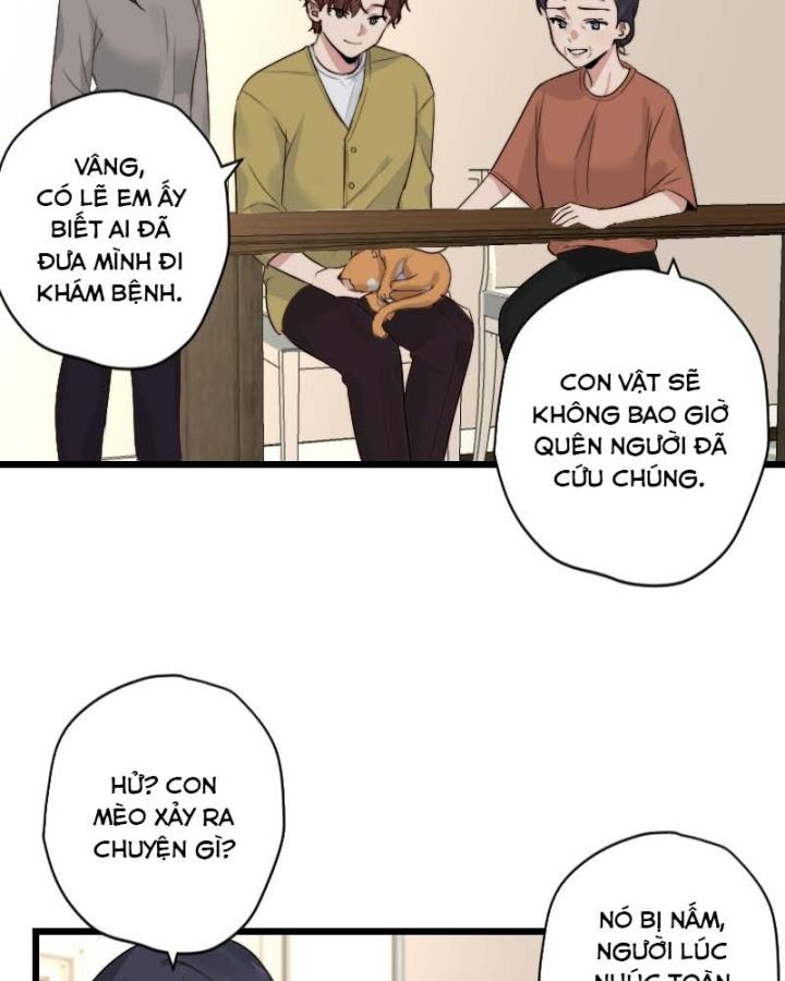 7 Năm Sau Tỉnh Dậy Ở Tương Lai Chapter 48 - Trang 2