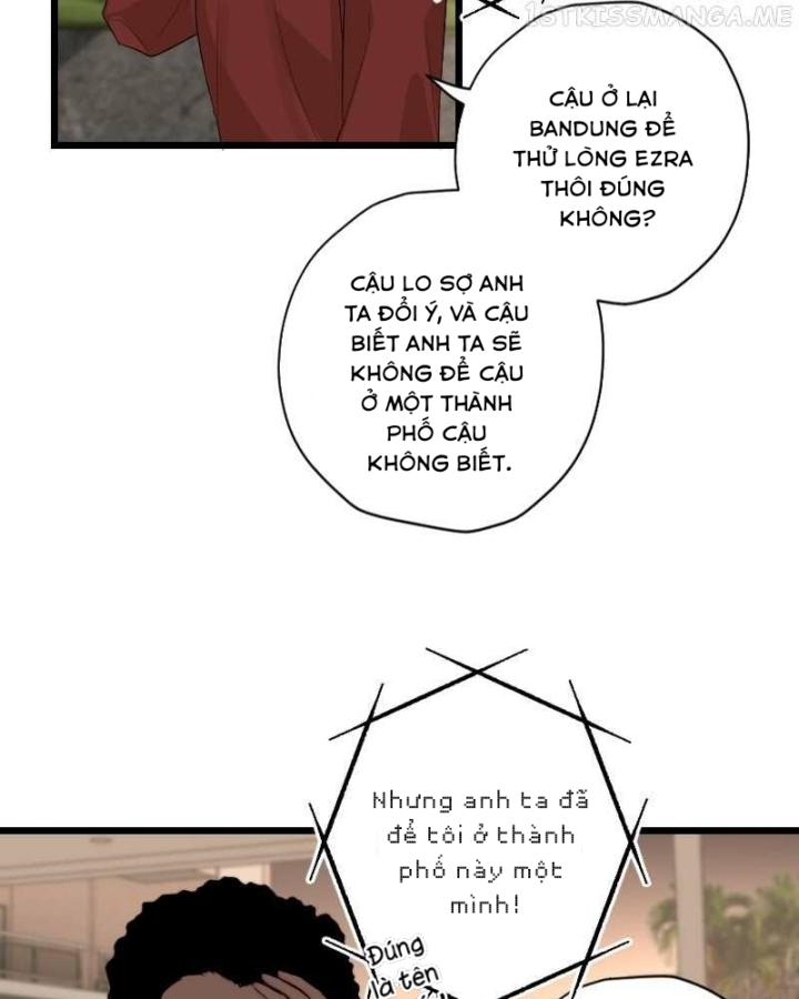 7 Năm Sau Tỉnh Dậy Ở Tương Lai Chapter 50 - Trang 2