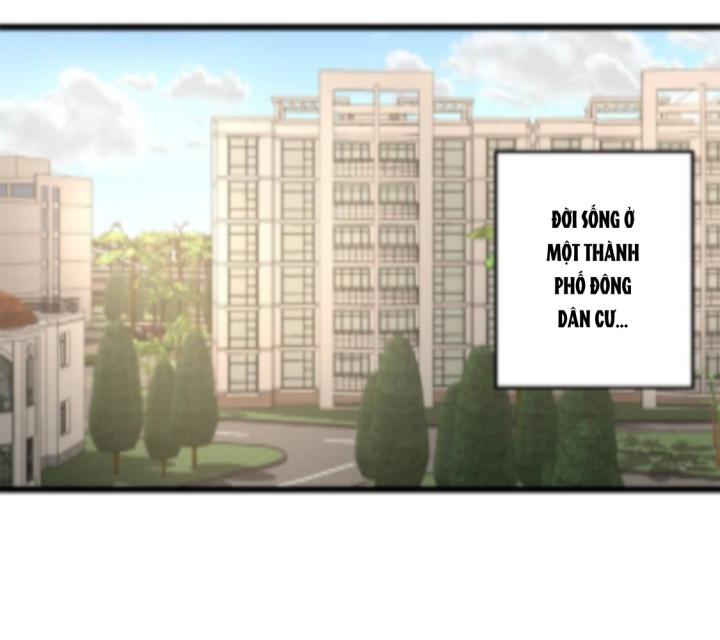 7 Năm Sau Tỉnh Dậy Ở Tương Lai Chapter 52 - Trang 2