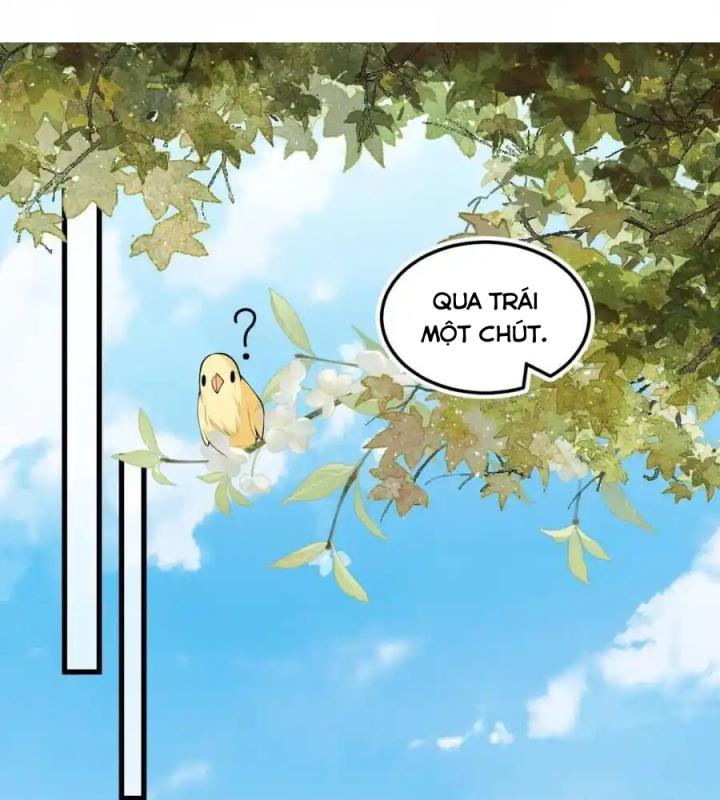Đồ Đệ Quá Gần Gũi Phải Làm Sao Chapter 13 - Trang 2