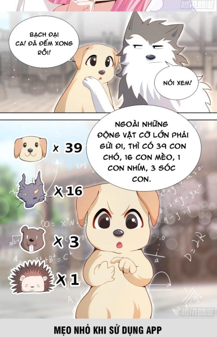 Trọng Sinh Thành Chó Của Nữ Thần Chapter 151 - Trang 3