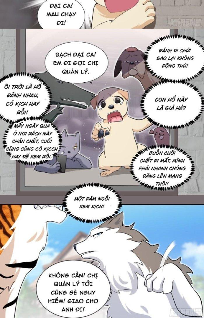 Trọng Sinh Thành Chó Của Nữ Thần Chapter 157 - Trang 3