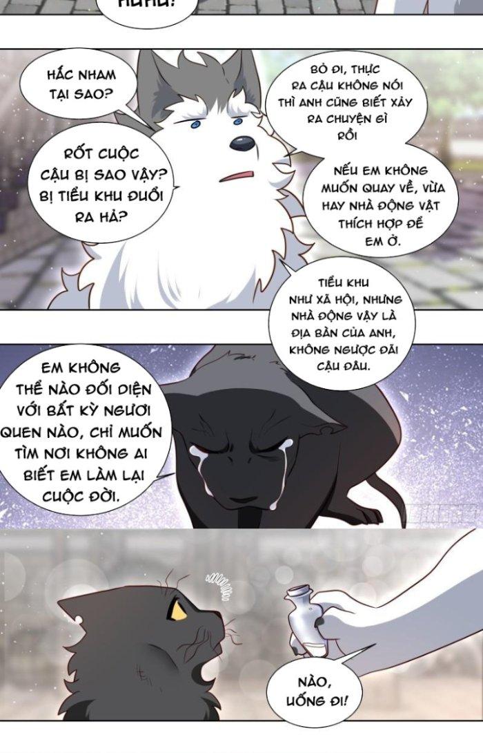 Trọng Sinh Thành Chó Của Nữ Thần Chapter 160 - Trang 3