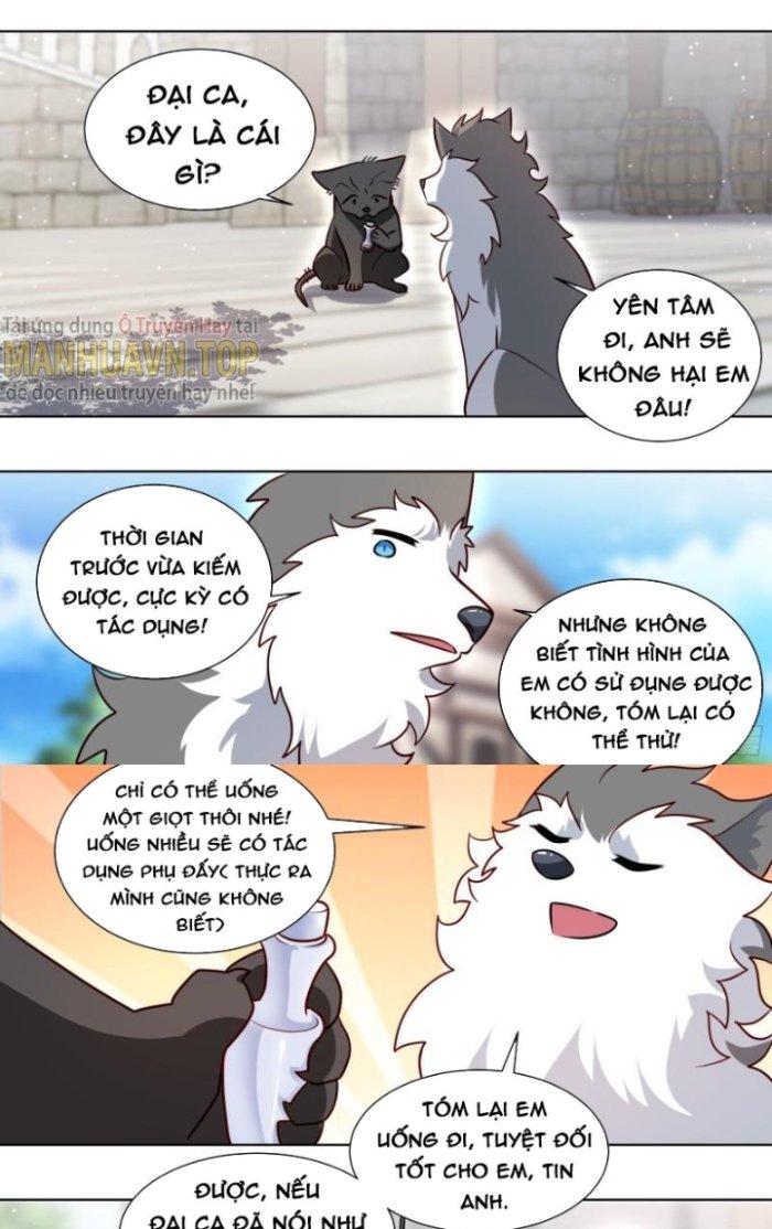 Trọng Sinh Thành Chó Của Nữ Thần Chapter 160 - Trang 3